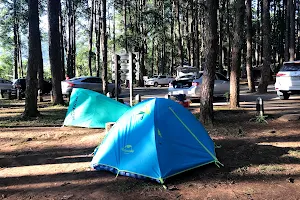 Dong Son Tent Area Doi Inthanon National Park image