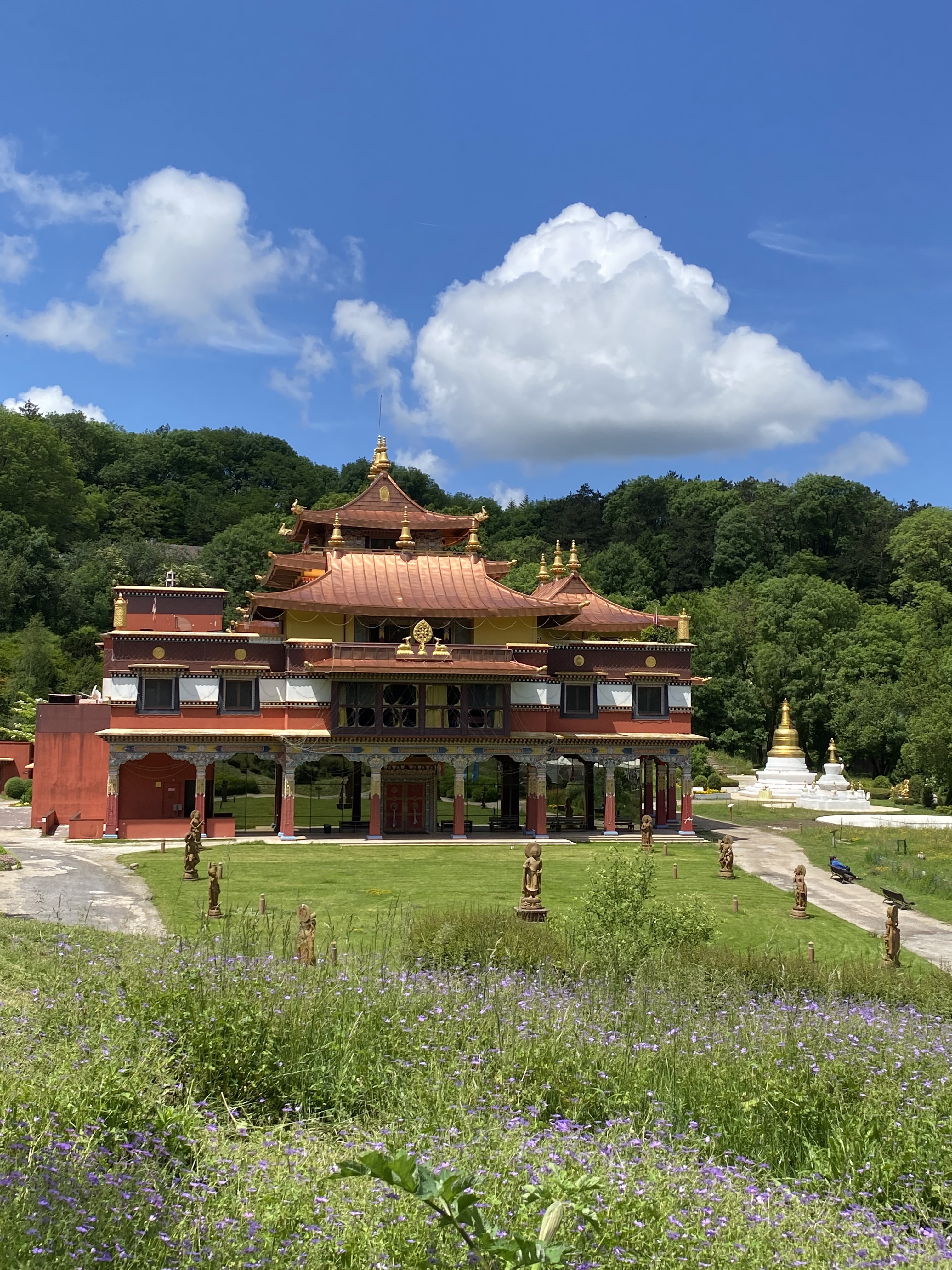 Photo n° 2 de l'avis de Aline. fait le 04/06/2023 à 18:19