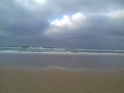 Les Alysés à Biscarrosse