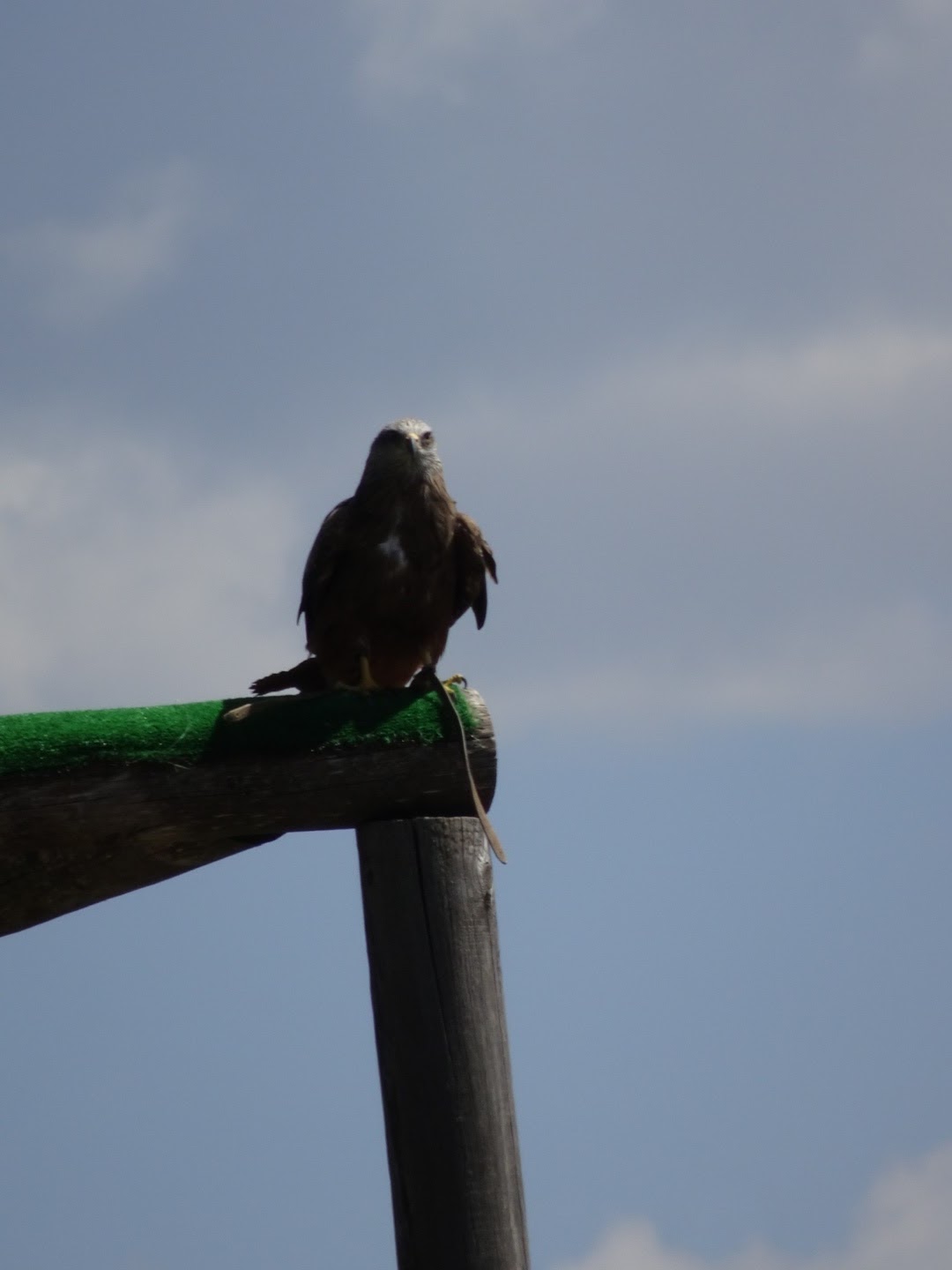 Photo n° 9 de l'avis de Romain.o fait le 17/08/2017 à 11:56