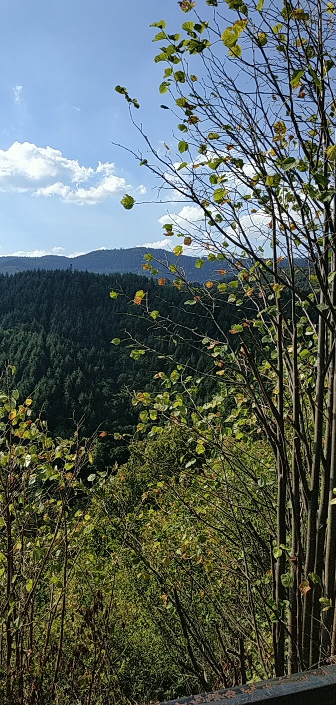 Photo n° 3 de l'avis de Patrice.O fait le 15/08/2018 à 08:02