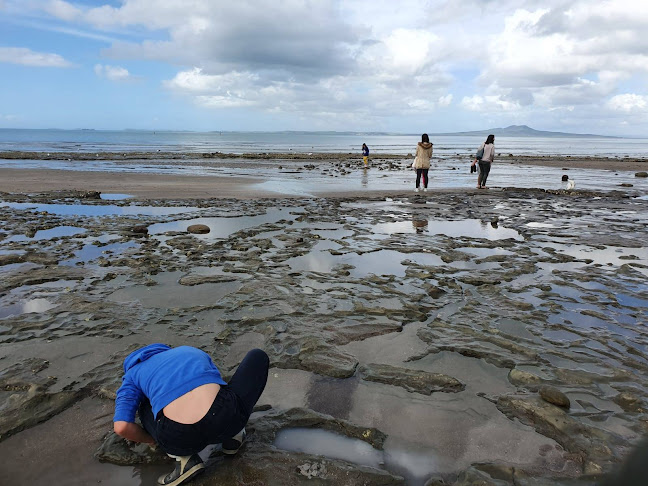 Reviews of Harbour College in Auckland - School