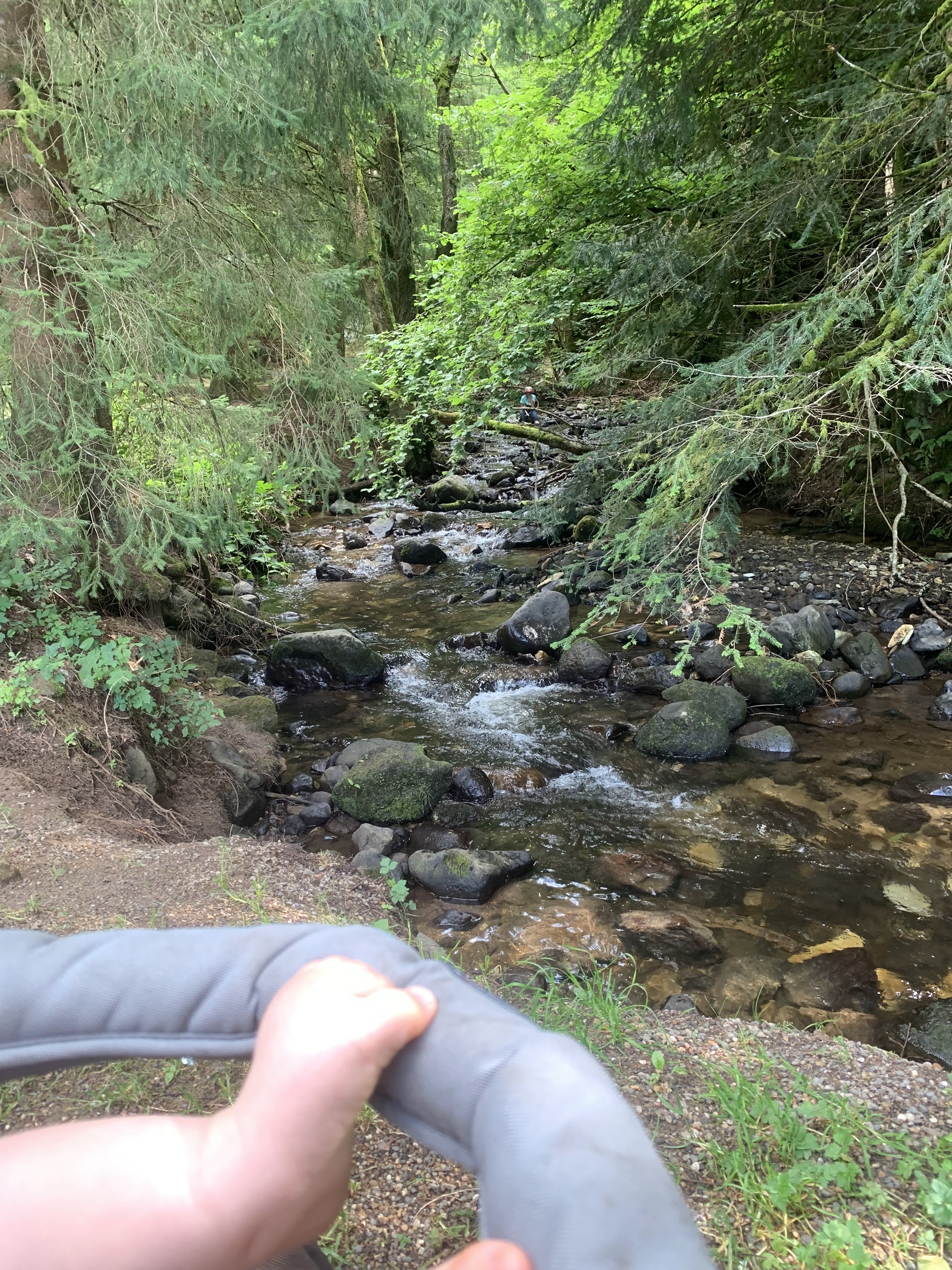 Photo n° 1 de l'avis de Elsa.h fait le 17/08/2023 à 17:45