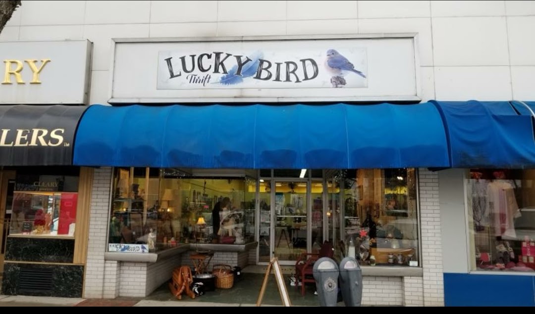 Lucky Bird Thrift
