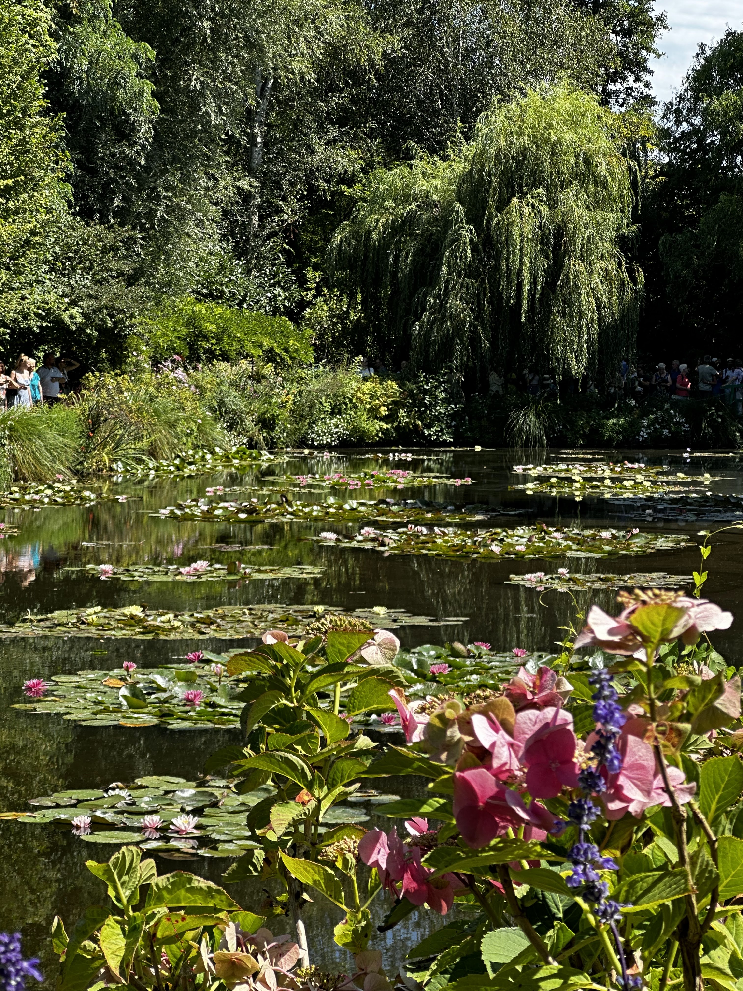 Photo n° 4 de l'avis de Skiralos. fait le 21/08/2023 à 15:22