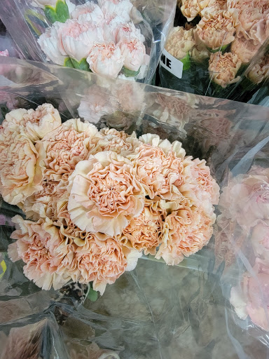 Florist «Botanica Wholesale Florist», reviews and photos, 3208 International Pl, Irving, TX 75062, USA