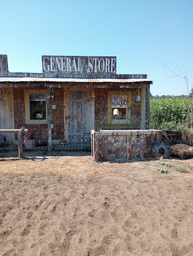 Pumpkin Patch «Rutledge Corn Maze LLC», reviews and photos, 302 93rd Ave SE, Olympia, WA 98501, USA