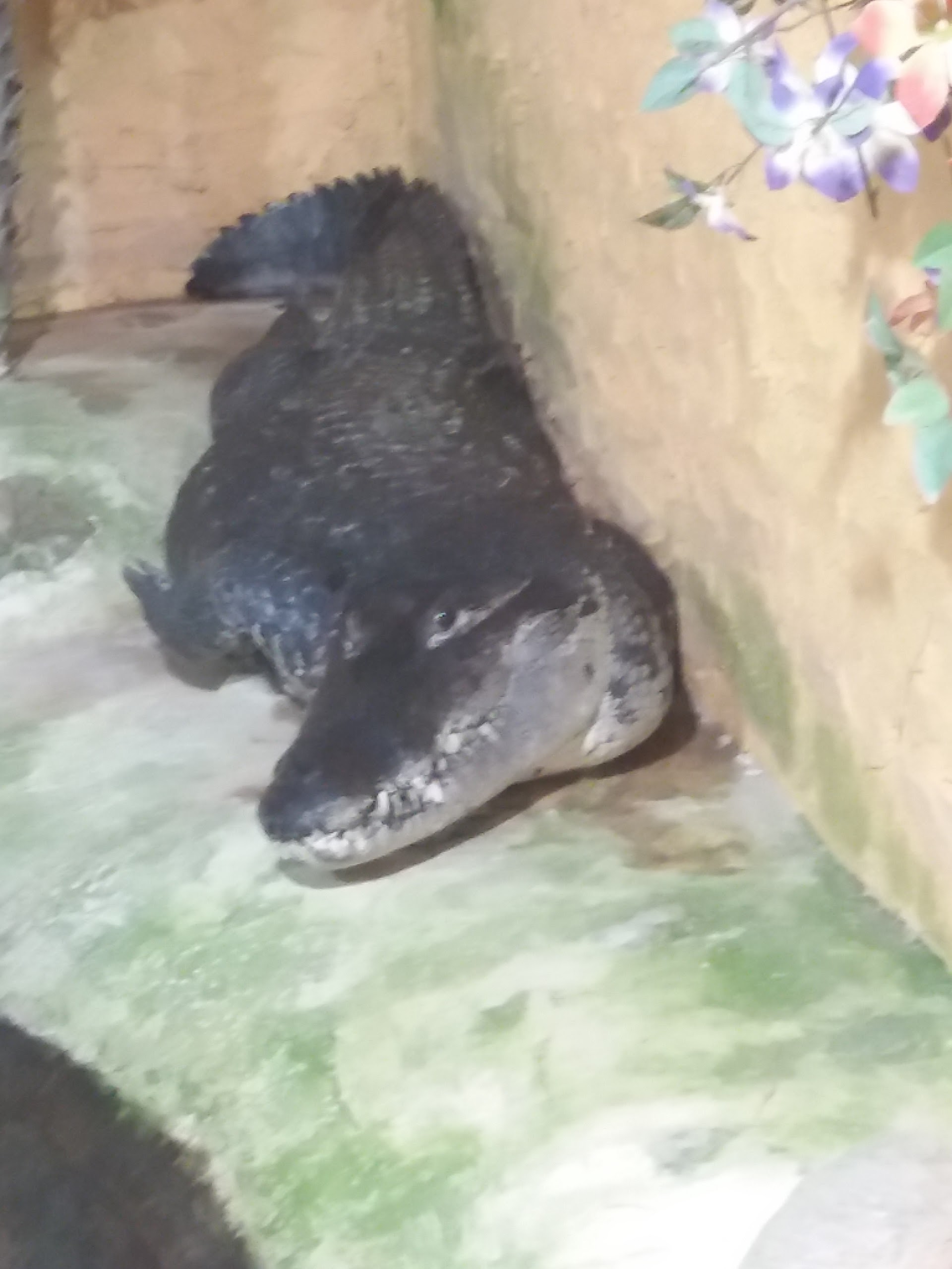 Photo n° 4 de l'avis de Damien.i fait le 21/08/2017 à 19:35