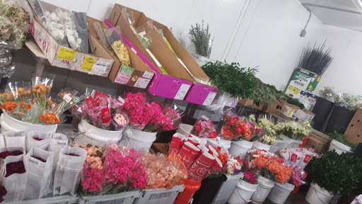 Florist «The Flower Place», reviews and photos, 860 NE 79th St, Miami, FL 33138, USA