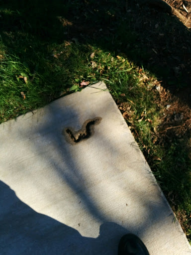 Ranch «The Marriott Ranch Bed and Breakfast», reviews and photos, 5305 Marriott Ln, Hume, VA 22639, USA