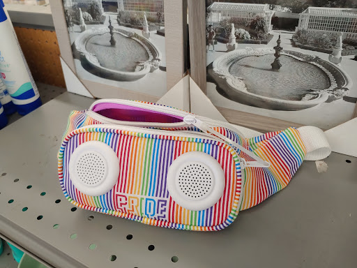 Discount Store «Big Lots», reviews and photos, 7600 Starkey Rd, Seminole, FL 33777, USA