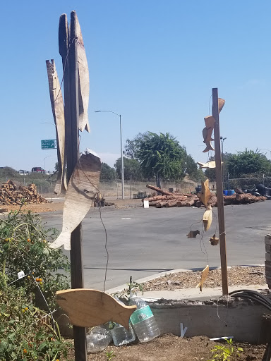 San Diego Urban Timber image
