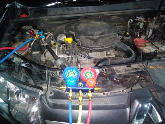 R. Francisco Nunes, 1293 - Prado Velho, Curitiba - PR, 80215-202, Brasil