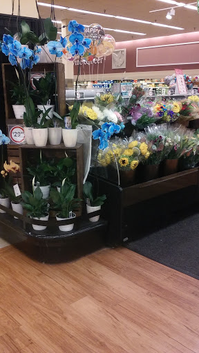 Supermarket «Winn-Dixie», reviews and photos, 9535 E Fowler Ave, Thonotosassa, FL 33592, USA