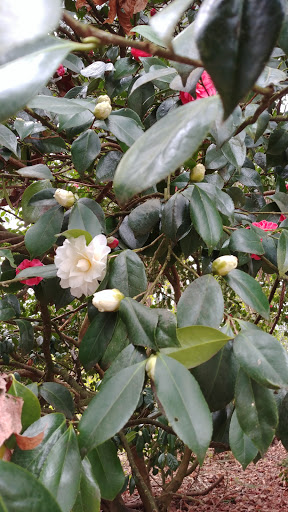 Park «Juanita Beach Park», reviews and photos, 9703 NE Juanita Dr, Kirkland, WA 98034, USA