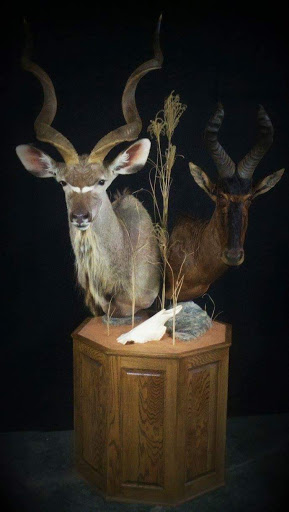 Taxidermist «HighPoint Taxidermy And Outfutters», reviews and photos, 14860 OH-13, Thornville, OH 43076, USA