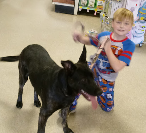 Pet Supply Store «PetSmart», reviews and photos, 19 Clifton Country Rd, Clifton Park, NY 12065, USA