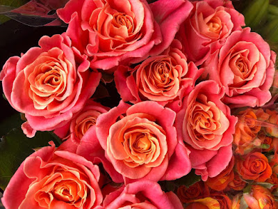 FLEURS ET TENDANCES à Cercy-la-Tour