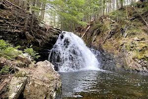 Dawson Brook Waterfall image