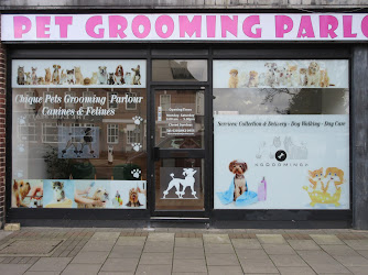 Chique Pets Grooming Parlour