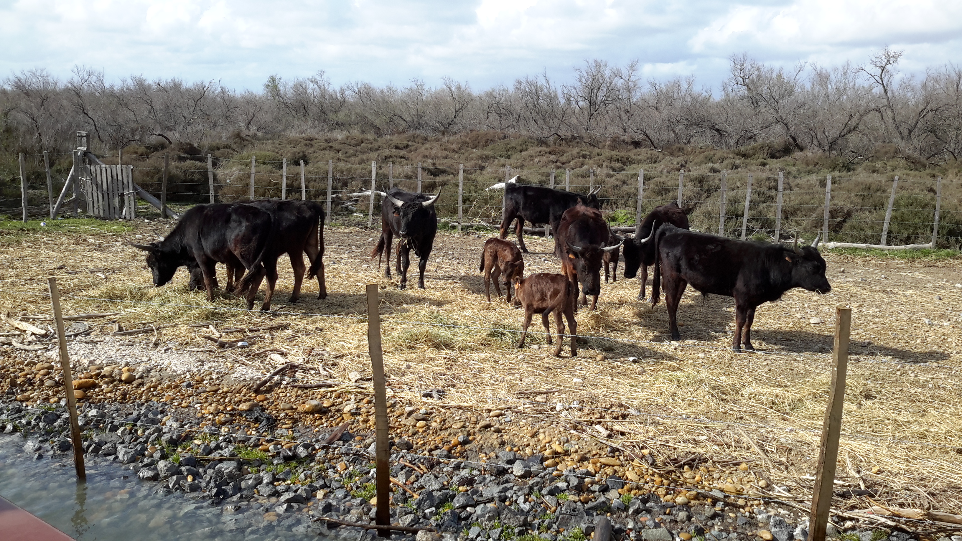 Photo n° 6 de l'avis de Pierre-paul.a fait le 12/04/2018 à 08:15