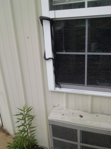 Used Car Dealer «CEYLON AUTO TRADERS INC», reviews and photos, 9449 Ocean Gateway, Easton, MD 21601, USA