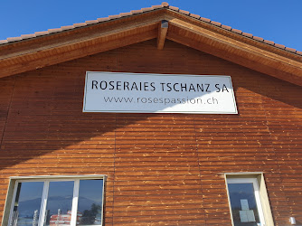 Roseraies Tschanz