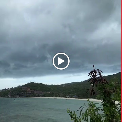 Auto Insurance Agency «Jeff Gottesman - State Farm Insurance Agent», reviews and photos