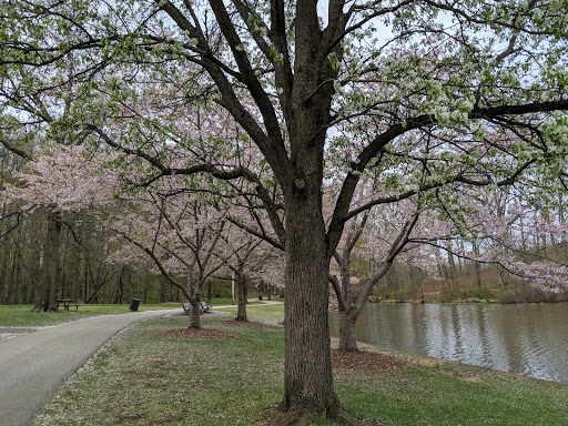 Park «Allen Pond Park», reviews and photos, 3330 Northview Dr, Bowie, MD 20716, USA