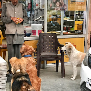 Maa Mansa Enterprise Banutti photo