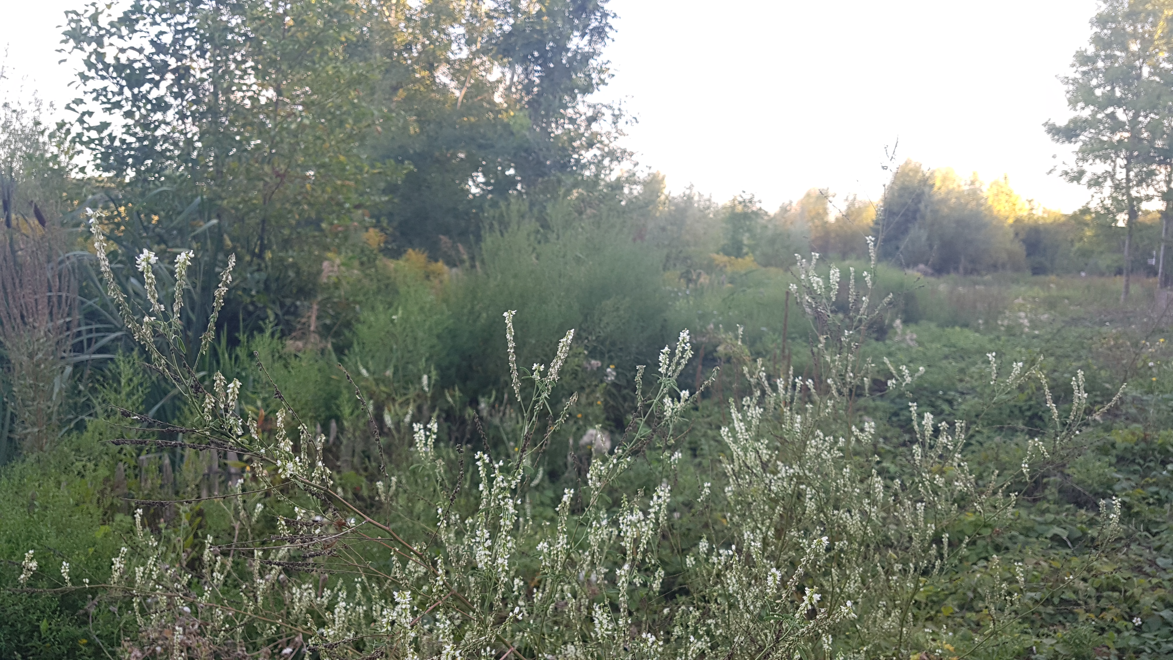 Photo n° 9 de l'avis de Sanjy.u fait le 20/09/2019 à 13:45