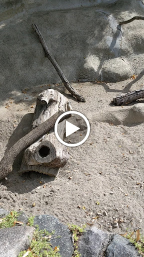 Zoo «Potter Park Zoo», reviews and photos, 1301 S Pennsylvania Ave, Lansing, MI 48912, USA