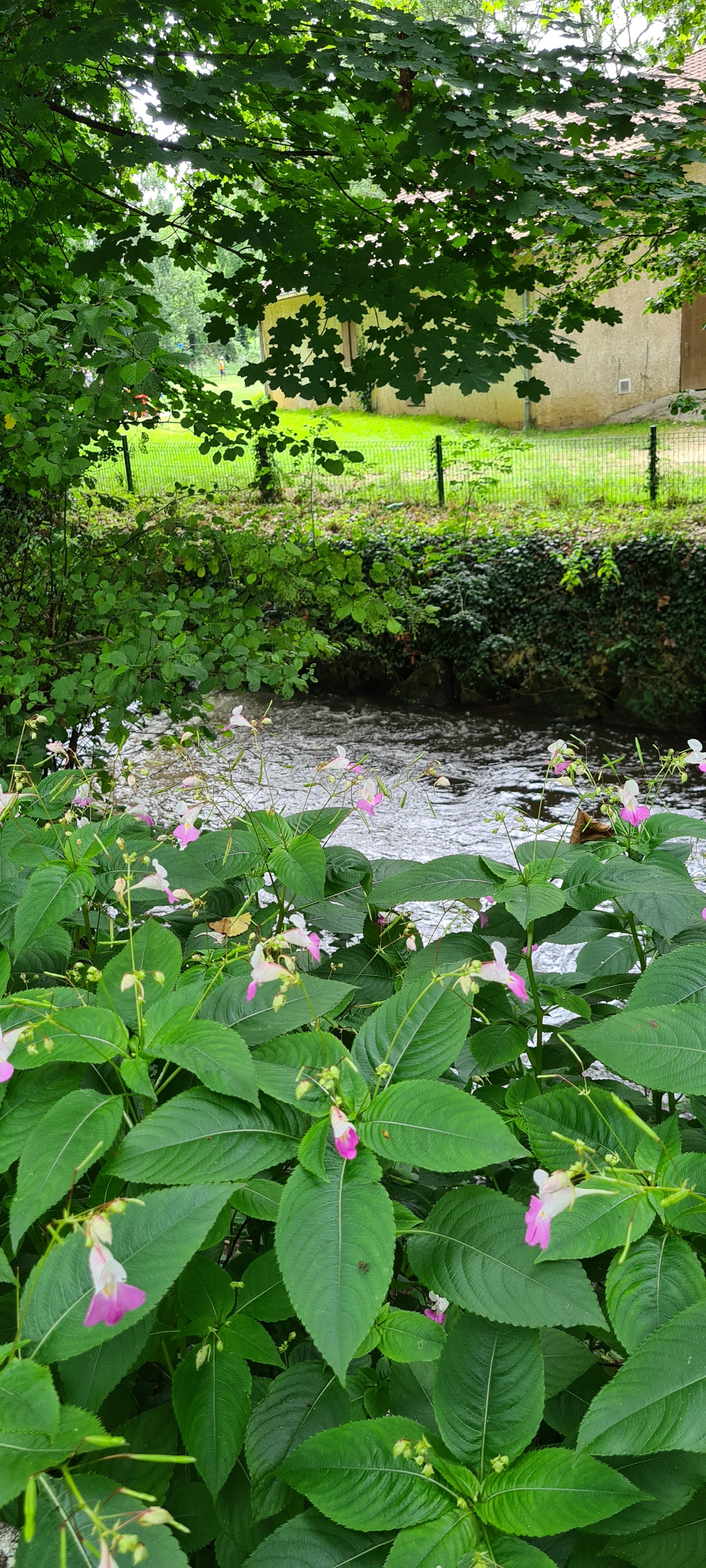 Photo n° 5 de l'avis de Carine.e fait le 11/07/2021 à 10:50