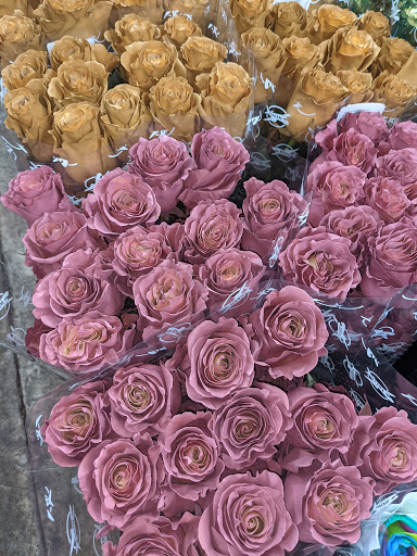 Beauty Salon «Salons By JC», reviews and photos, 800 5th Ave S #201, Naples, FL 34102, USA