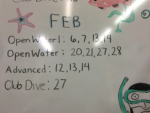 SCUBA Instructor «Tropical Adventures Scuba & Travel», reviews and photos, 3615 Portola Dr, Santa Cruz, CA 95062, USA