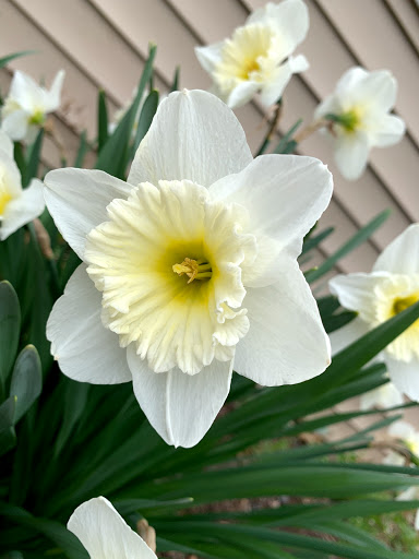 Nature Preserve «Whittemore Wildlife Sanctuary», reviews and photos, 7 Rockaway Rd, Whitehouse Station, NJ 08889, USA