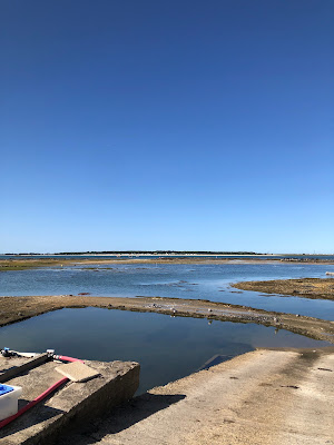 Tibidy Huitres à Carnac