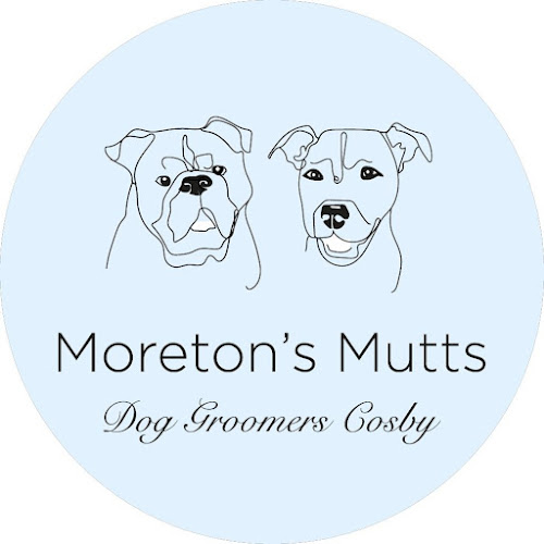 Reviews of Moreton's Mutts in Leicester - Dog trainer