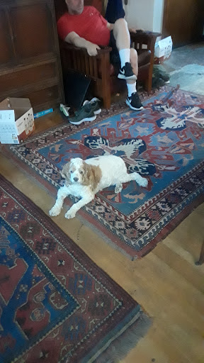 Pet Supply Store «PetSmart», reviews and photos, 3081 S 5600 W, Salt Lake City, UT 84120, USA