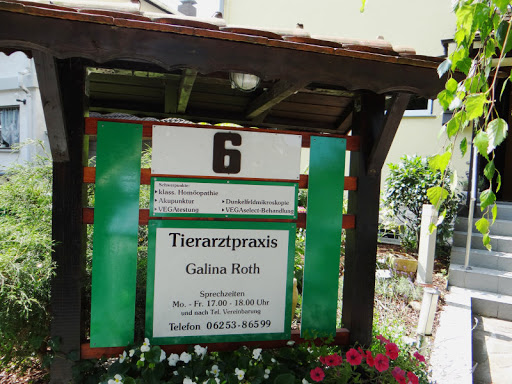 Tierarztpraxis Dr. Eyol unter Heppenheim, Hessen