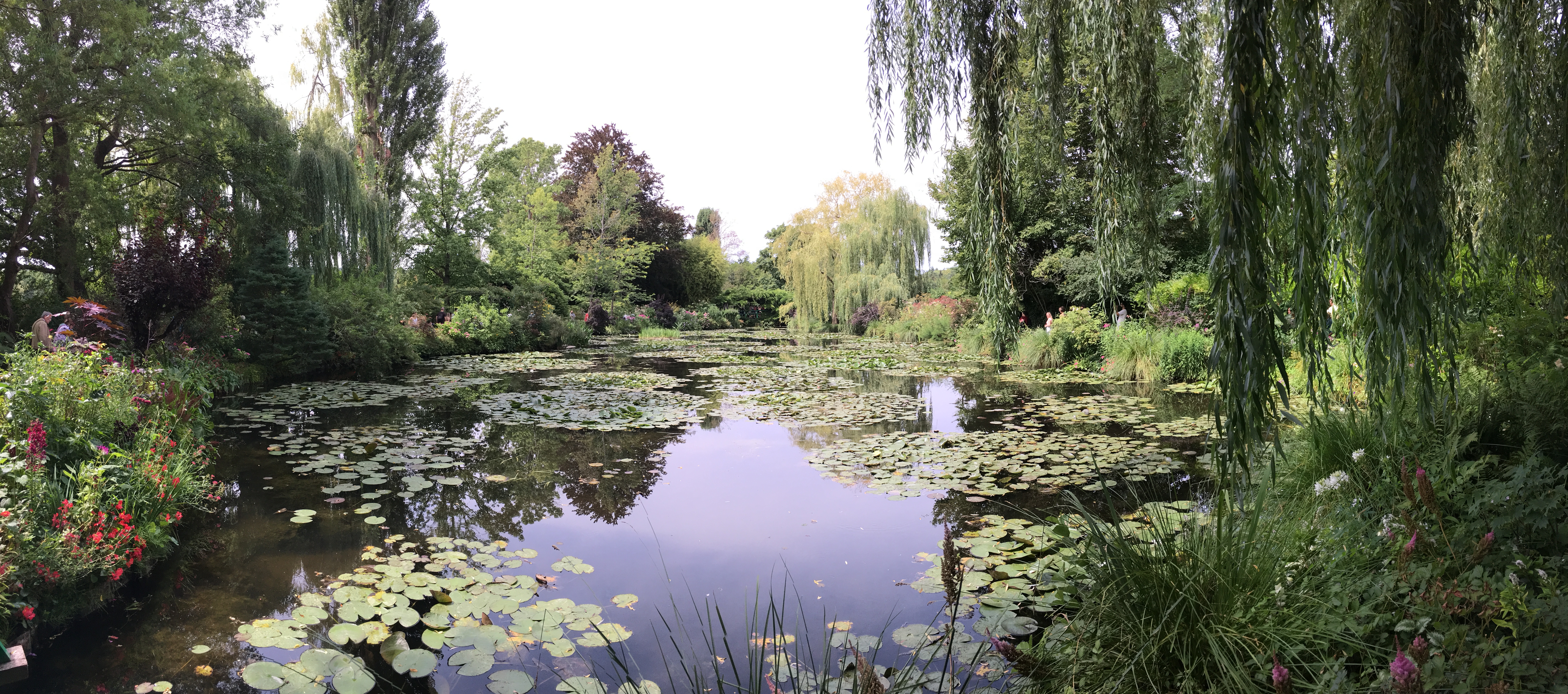 Photo n° 1 de l'avis de Romain.a fait le 31/08/2019 à 09:59