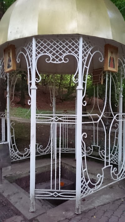 Photos of Zhirovichskiy Istochnik Staryy S Kupal'ney