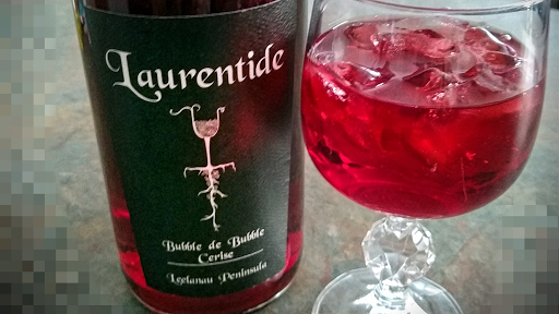 Winery «Laurentide Winery», reviews and photos, 56 S French Rd, Lake Leelanau, MI 49653, USA