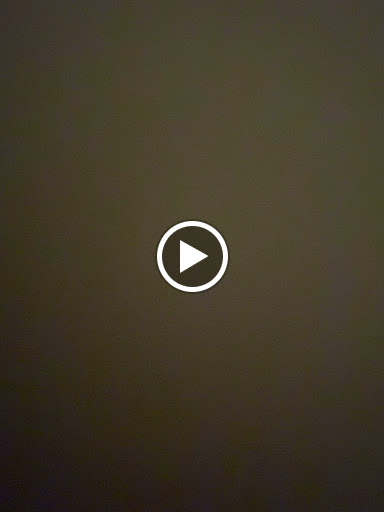 Tobacco Shop «1 Stop Smoke Shop», reviews and photos, 10821 N 56th St, Temple Terrace, FL 33617, USA