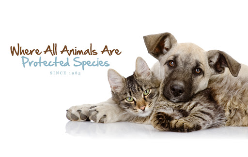 3404 Lithia Pinecrest Rd, Valrico, FL 33596, USA