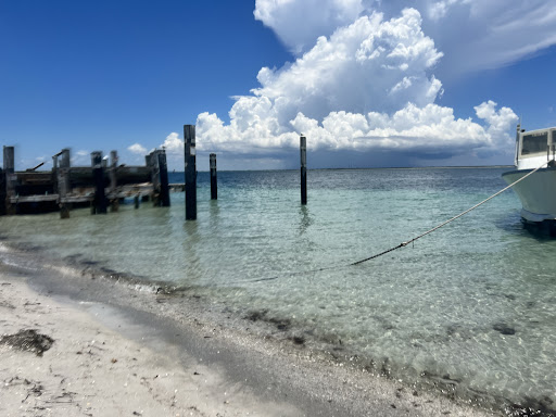 Boat Tour Agency «Dolphin Snorkeling Cruise», reviews and photos, 4630 29th Ave S, Gulfport, FL 33711, USA