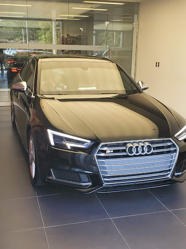 Audi Bedford image 7