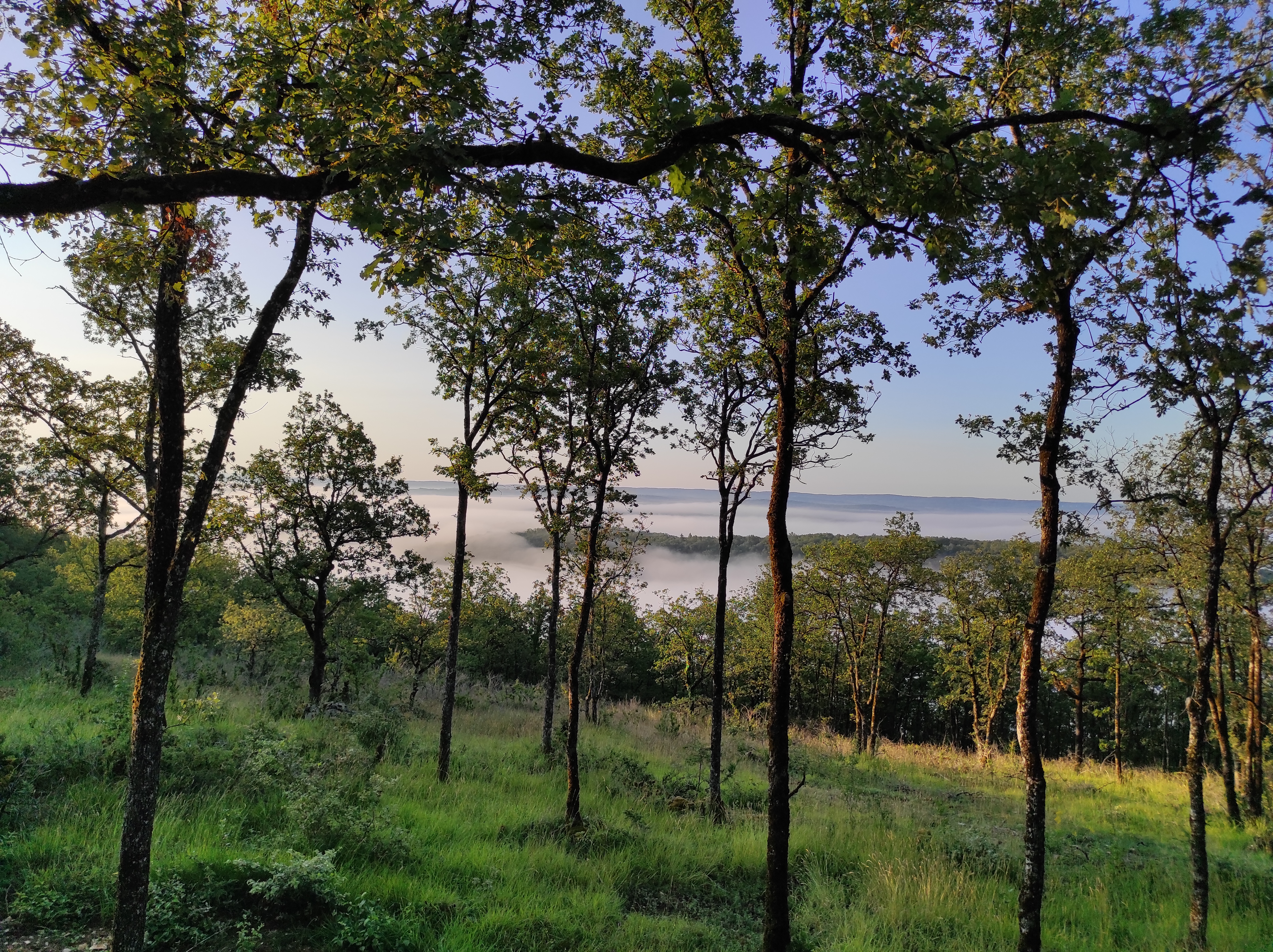 Photo n° 3 de l'avis de Lulu.a fait le 08/08/2021 à 06:47