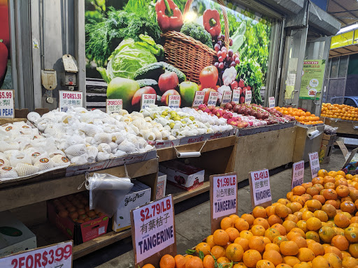 Grocery Store «Ace Market», reviews and photos, 6511 Bay Pkwy, Brooklyn, NY 11204, USA