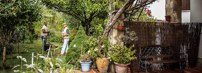 Avaliações doWe Garden Jardinagem em Torres Vedras - Jardinagem